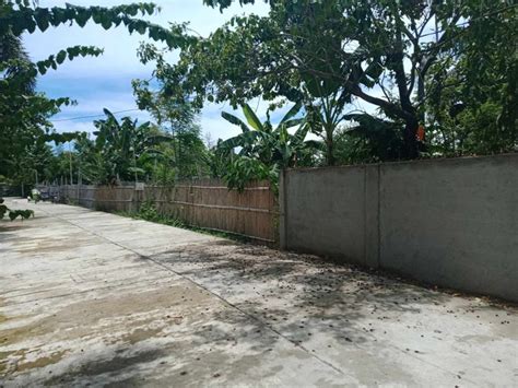 Lot For Sale in Pangasinan .
